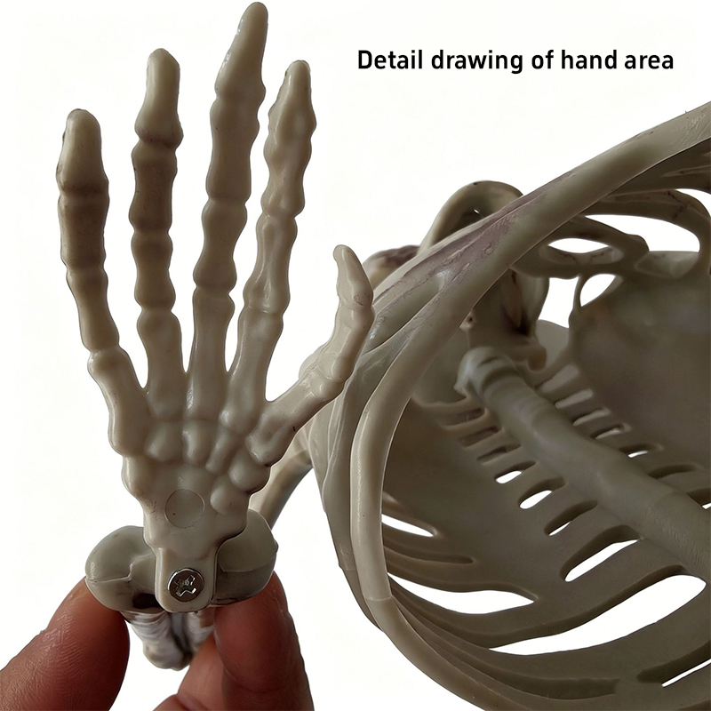 Horror Half Skeleton Skull Orn - Halloween Skeleton Decoration ulasan dan harga